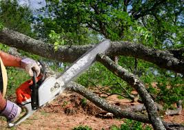 Soil Testing and Treatment in Southwest Ranches, FL